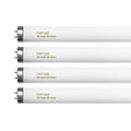 20 Watt T12 Fluorescent Tube Light Bulb Daylight 4 Count C558992