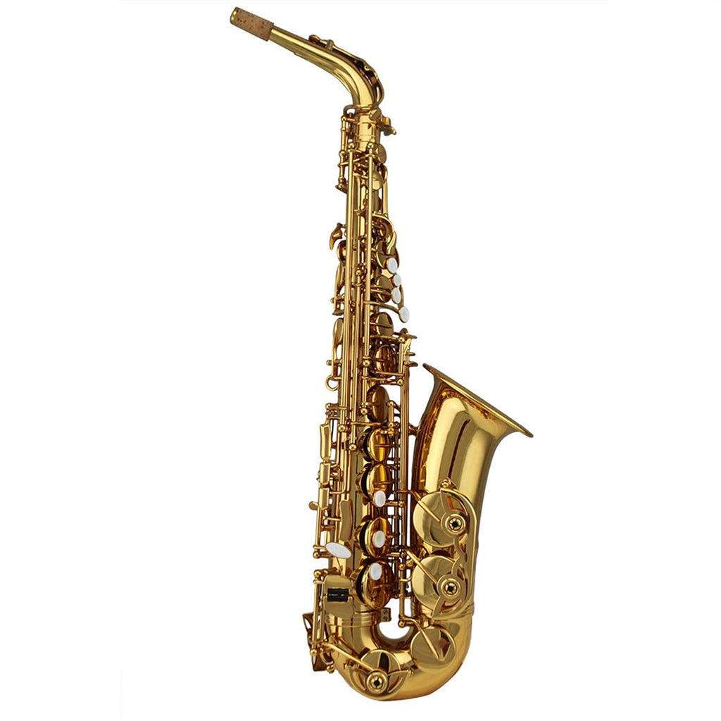 Alto Saxophone Set W936