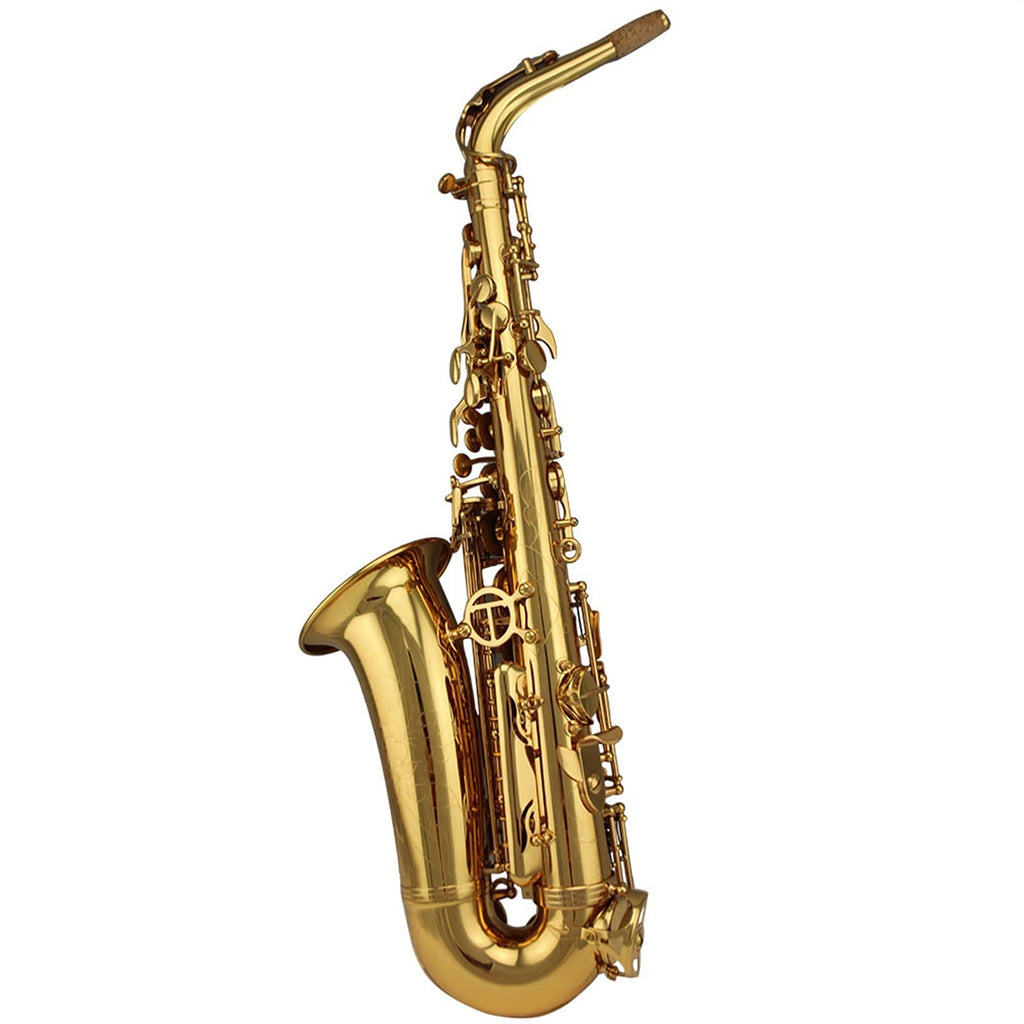 Alto Saxophone Set W936