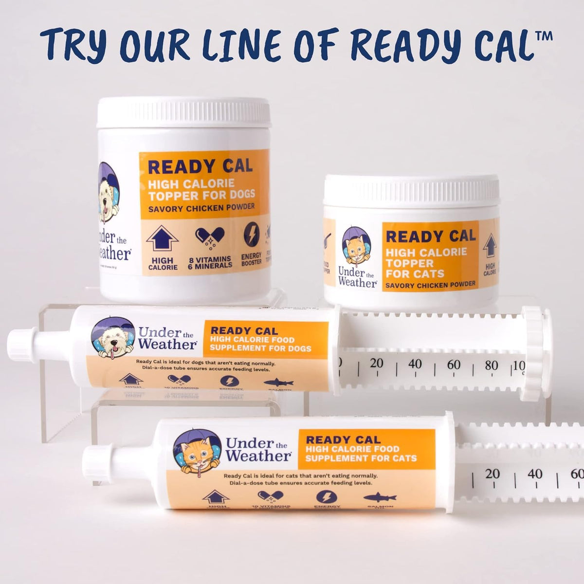 Chicken Flavor High-Calorie Cat Supplement Powder Q431