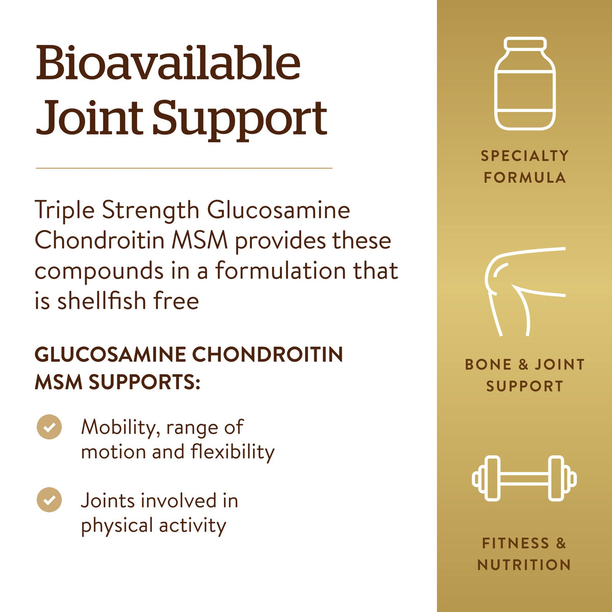 120 Tablets Glucosamine Chondroitin MSM P33863