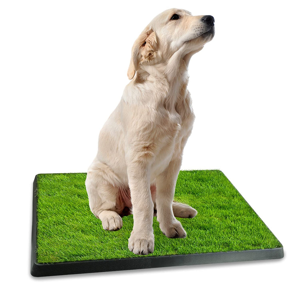 Artificial Grass Dog Potty Mat with Removable Waste Tray D6164