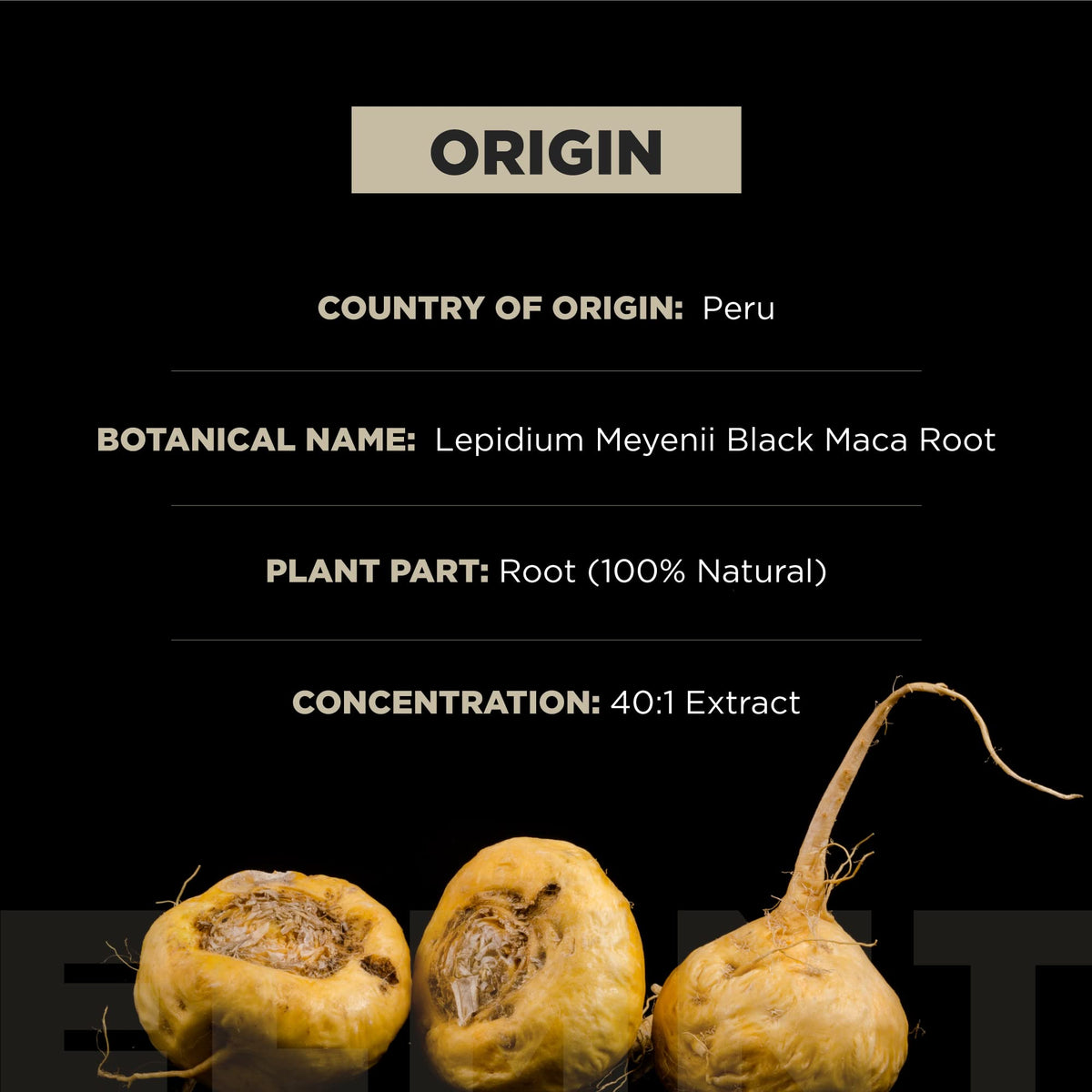 Organic Black Maca Root with Ashwagandha X4802