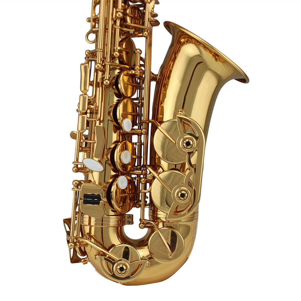 Alto Saxophone Set W936