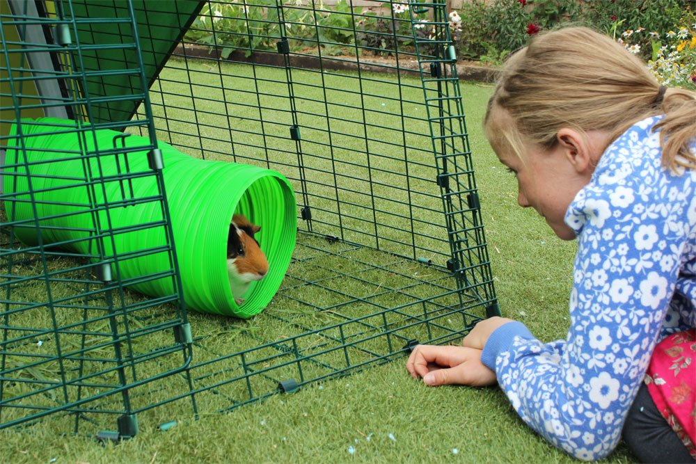 Green Flexible Bunny Warren Fun Tunnel N29178