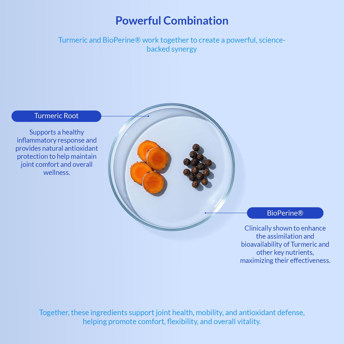 Turmeric for Dogs 120 ct A3190