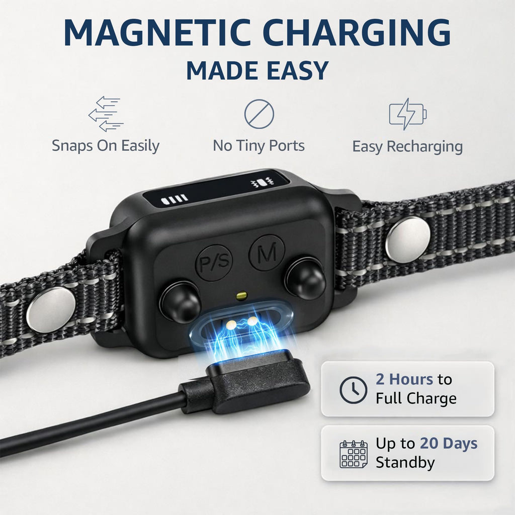 Small Dogs Bark Collar with Magnetic Charging S6069