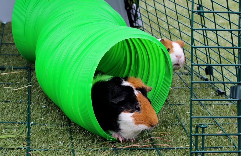 Green Flexible Bunny Warren Fun Tunnel N29178