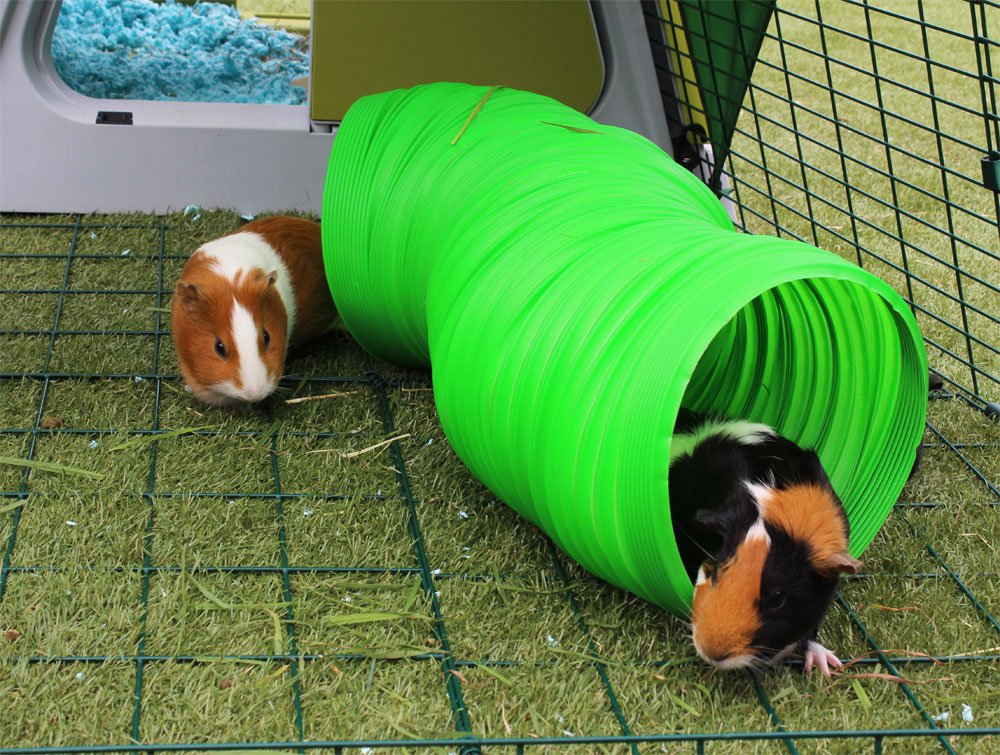 Green Flexible Bunny Warren Fun Tunnel N29178