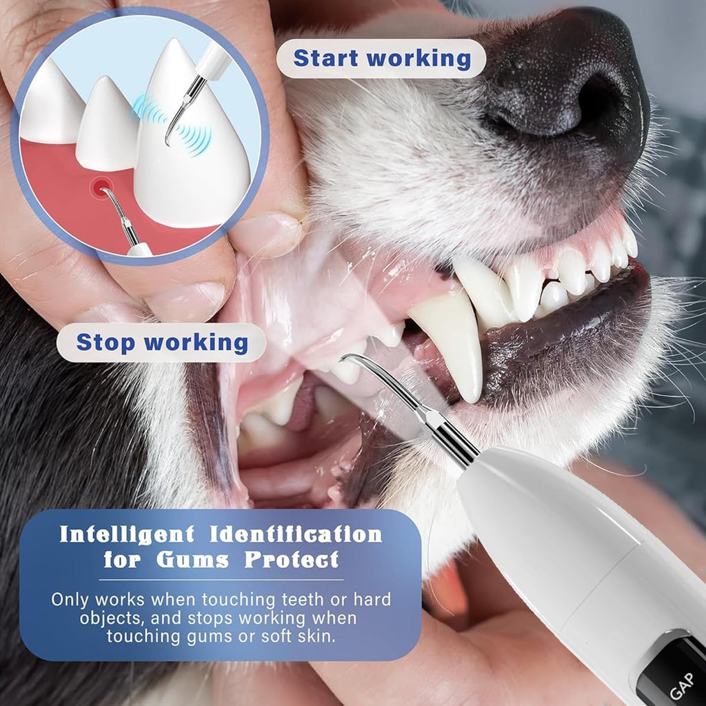 Ultrasonic Pet Dental Cleaner with 4 Tips, 3 Modes, LED, White W949