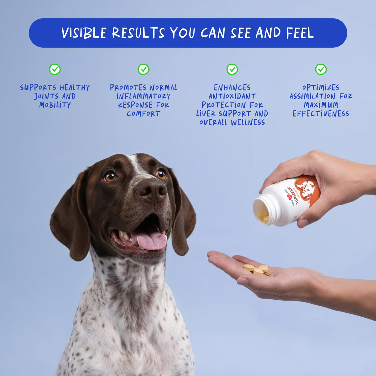 Turmeric for Dogs 120 ct A3190