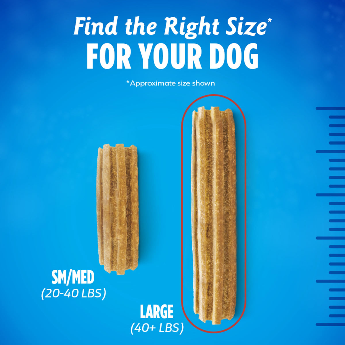 Large Dog Treats Q70242