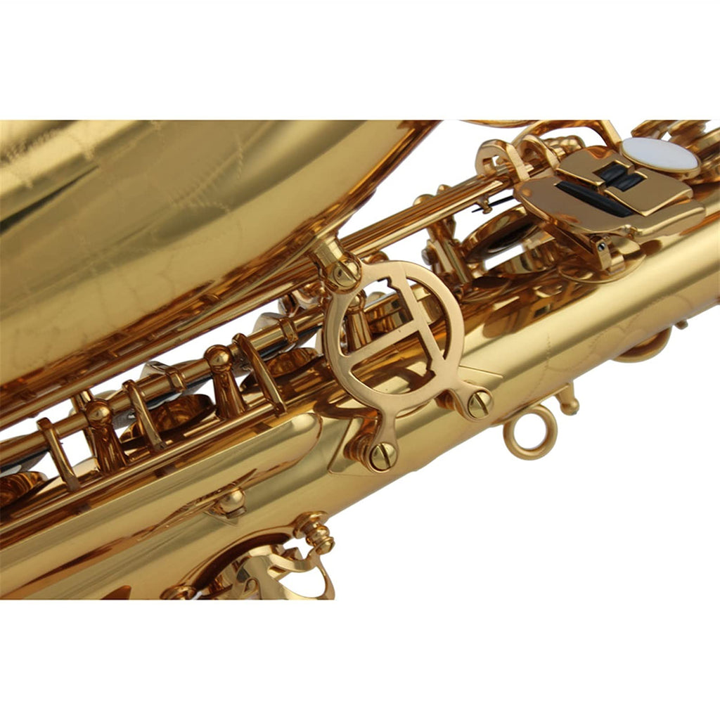 Alto Saxophone Set W936