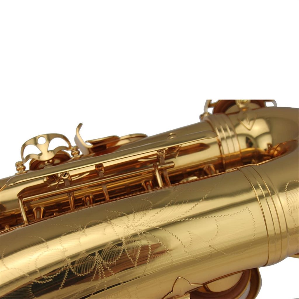 Alto Saxophone Set W936