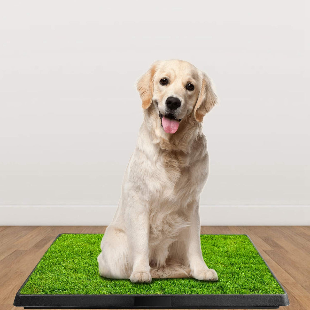 Artificial Grass Dog Potty Mat with Removable Waste Tray D6164