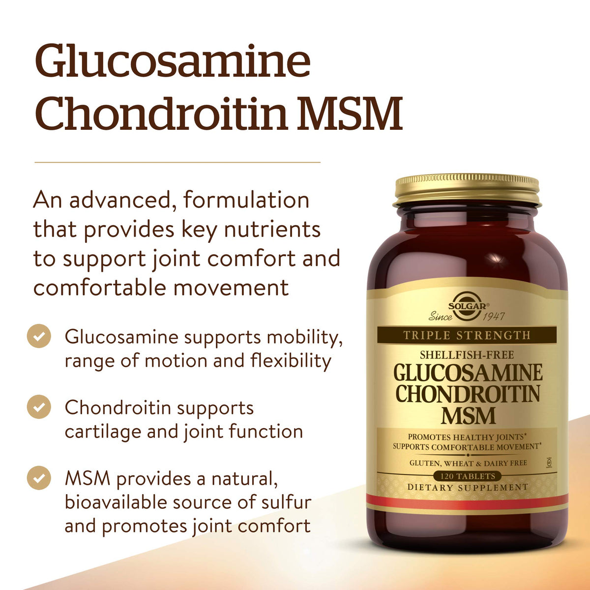120 Tablets Glucosamine Chondroitin MSM P33863