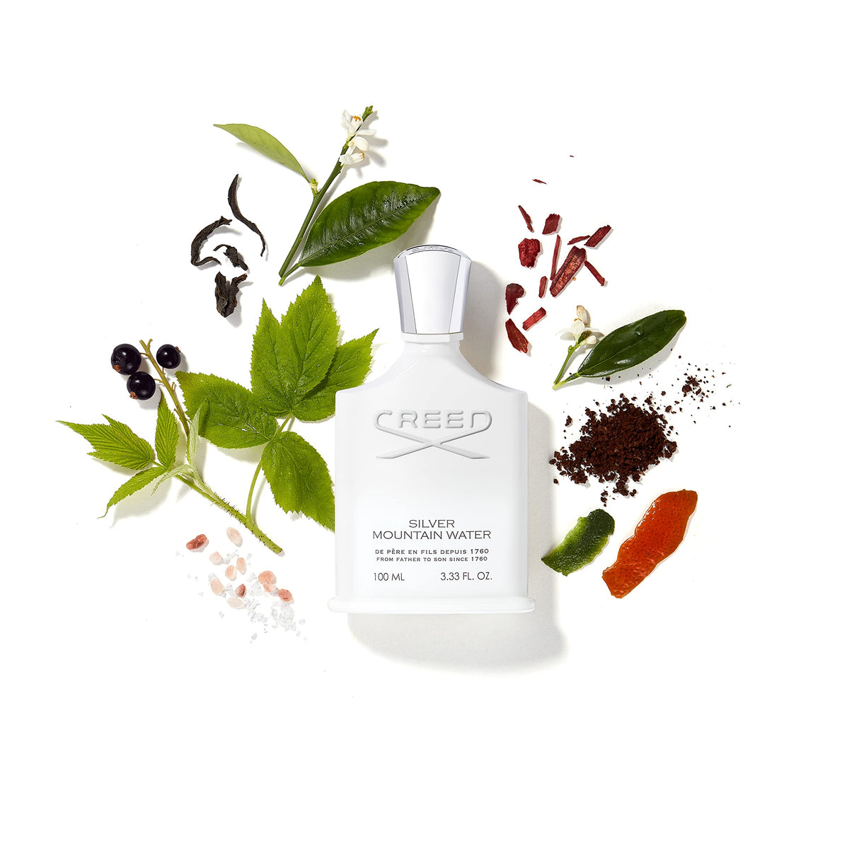 Men's Citrus Fruity Woody Cologne S55910