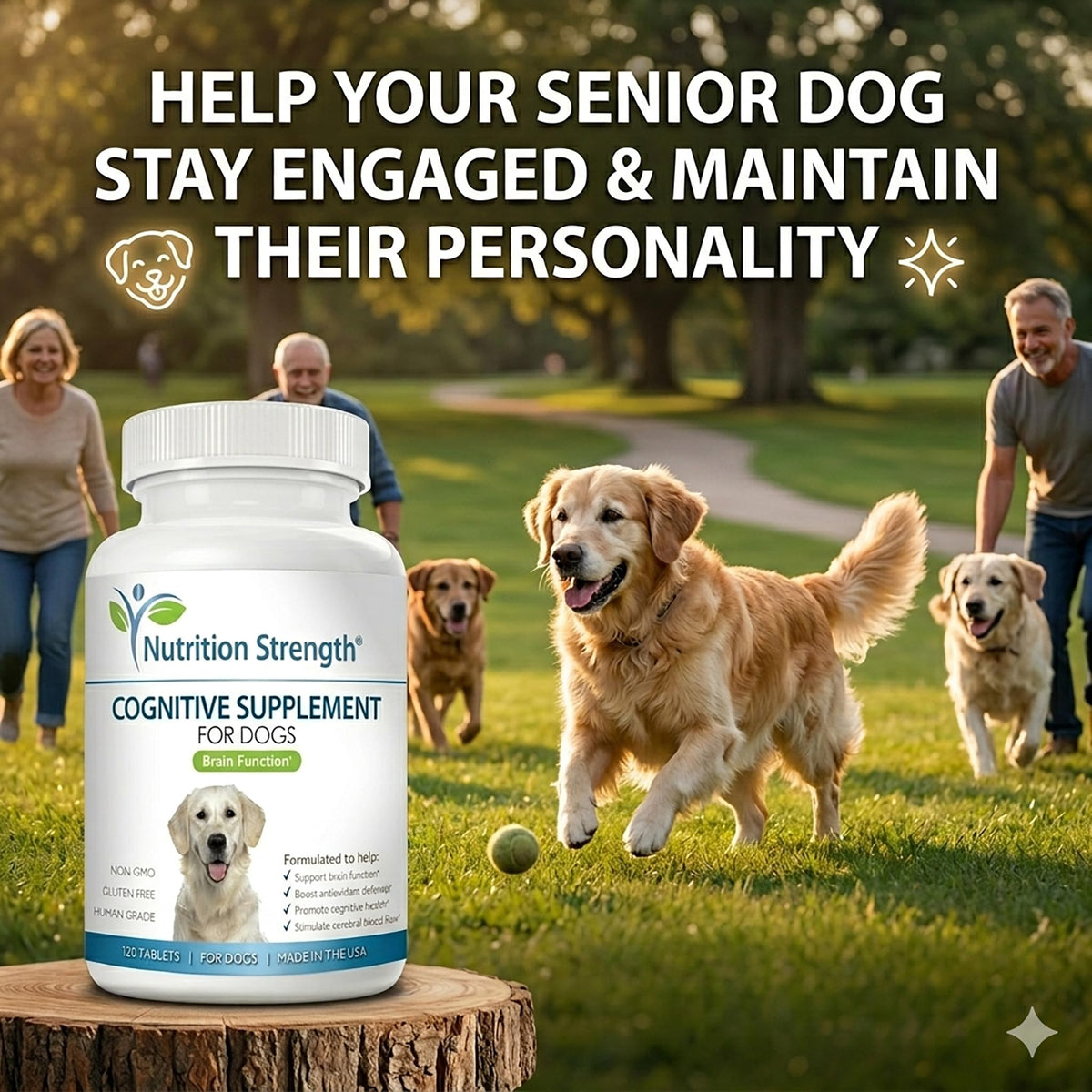 120 Chewable Tablets Cognitive Support Dog Supplement G4048