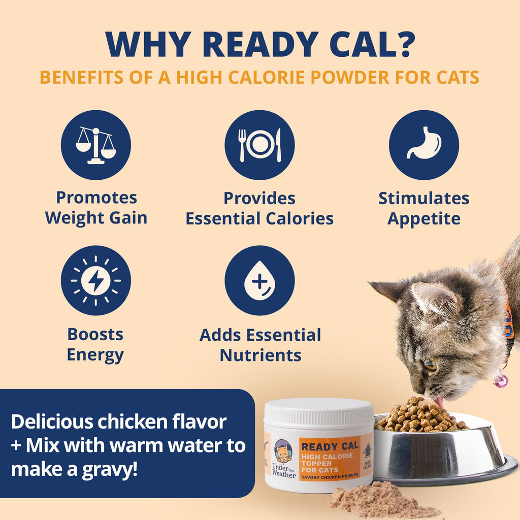 Chicken Flavor High-Calorie Cat Supplement Powder Q431
