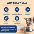 Chicken Flavor High-Calorie Cat Supplement Powder Q431