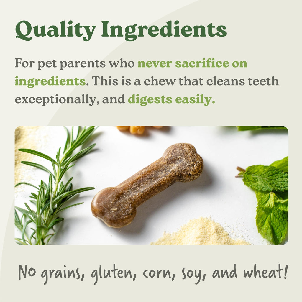 Dental Chews Dog Treats Small 13 Treats G807472
