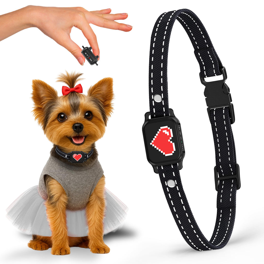 Small Dogs Bark Collar with Magnetic Charging S6069