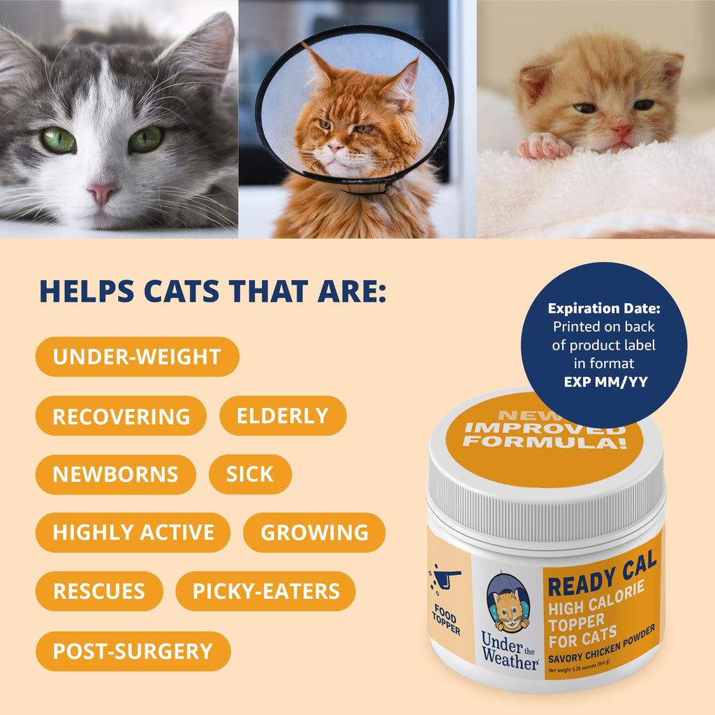 Chicken Flavor High-Calorie Cat Supplement Powder Q431