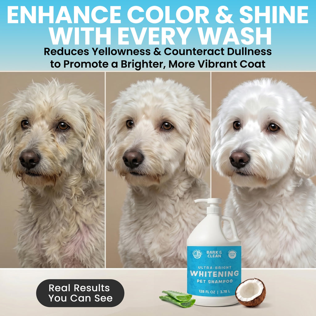 Whitening Dog Shampoo with Pump, 1 Gallon Aloe Coconut P334