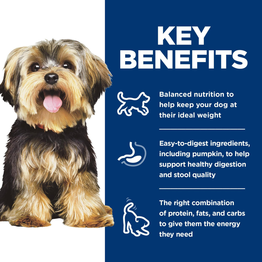 Wet Dog Food Variety Pack I5981