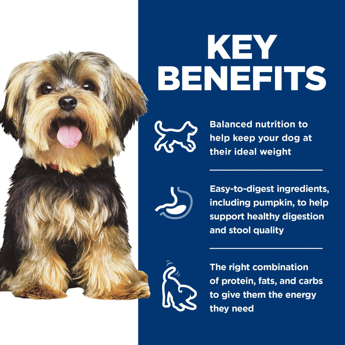 Wet Dog Food Variety Pack I5981
