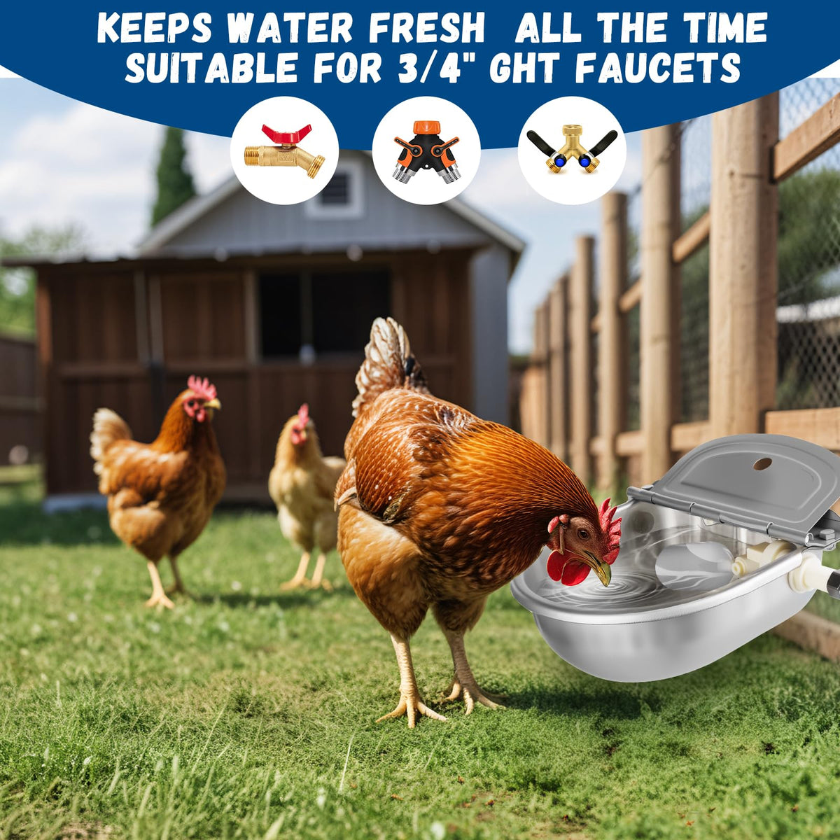 Automatic Chicken Waterer 304 Steel Poultry Water Dispenser D830952