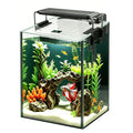 1.5 Gallon Glass Aquarium Starter Kit with LED Light and Power Filter Z591