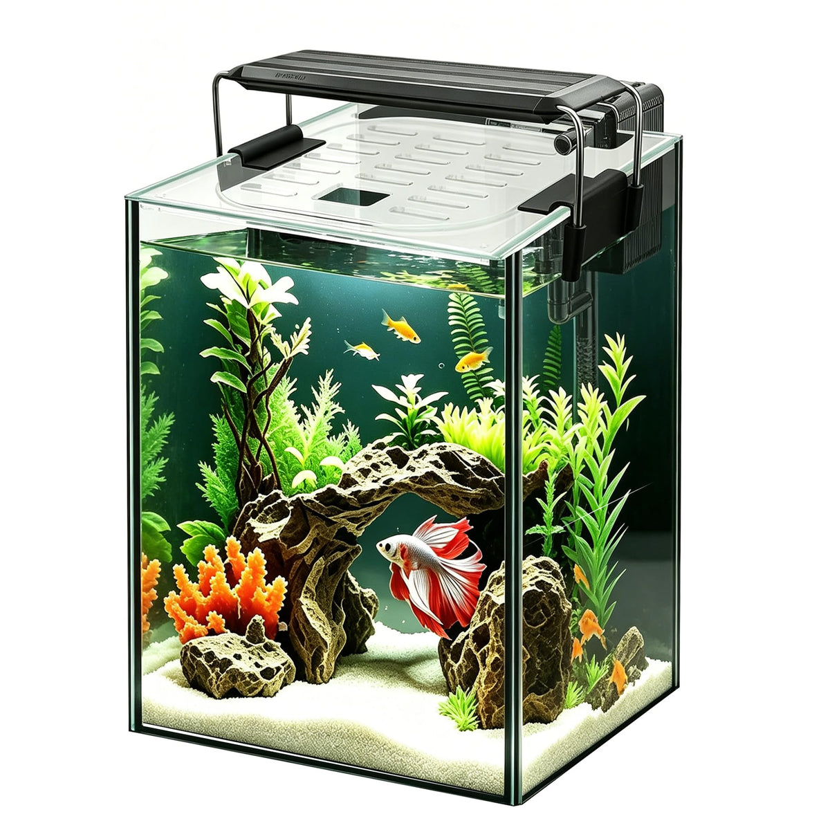 1.5 Gallon Glass Aquarium Starter Kit with LED Light and Power Filter Z591
